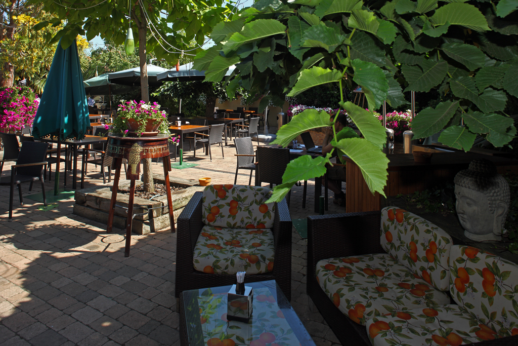 Restaurante La Zingara74. Terraza