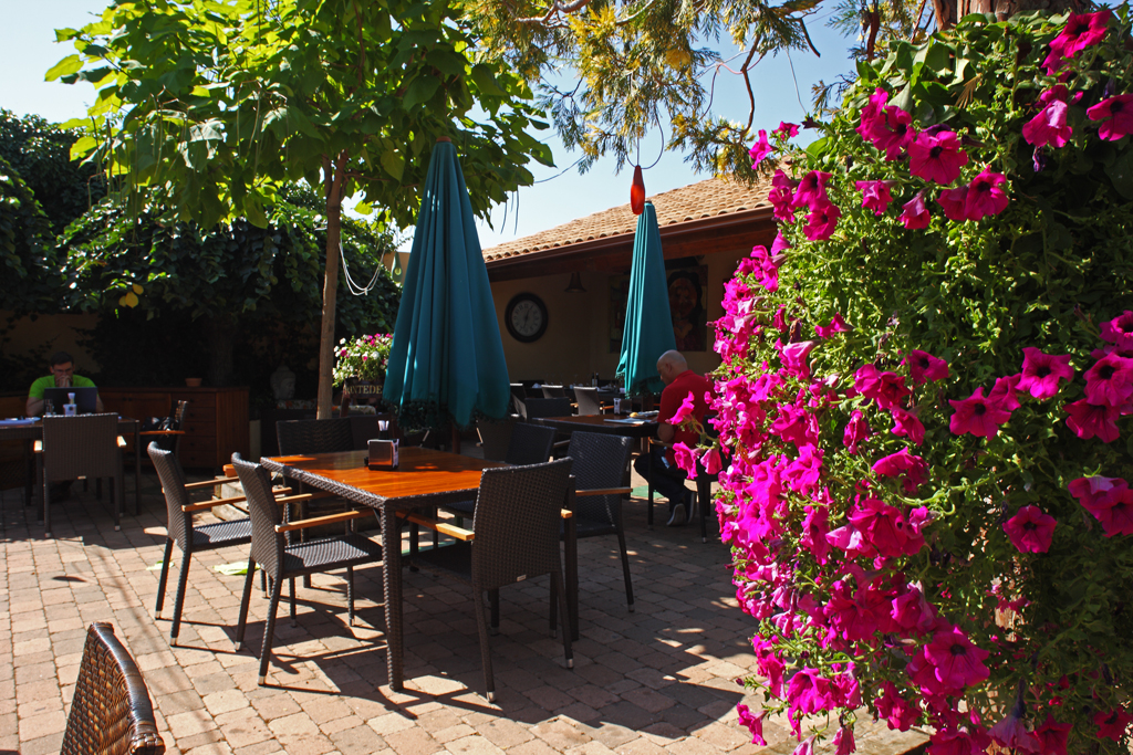 Restaurante La Zingara77. Terraza